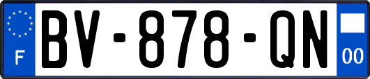 BV-878-QN