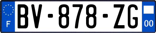 BV-878-ZG