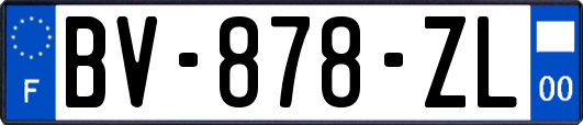 BV-878-ZL