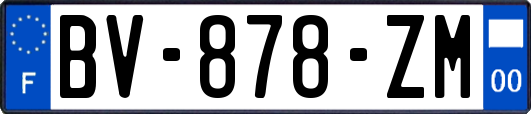 BV-878-ZM