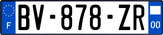 BV-878-ZR