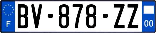 BV-878-ZZ