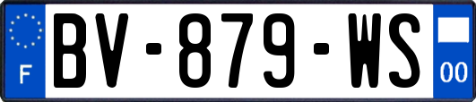 BV-879-WS