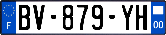 BV-879-YH