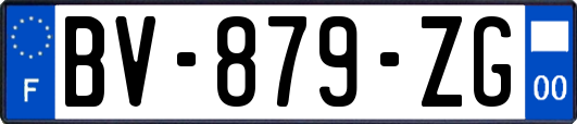 BV-879-ZG