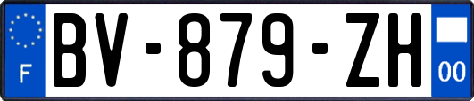 BV-879-ZH