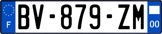 BV-879-ZM