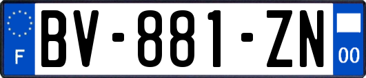 BV-881-ZN