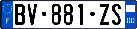 BV-881-ZS