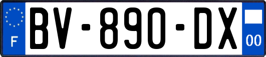 BV-890-DX