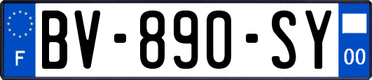 BV-890-SY