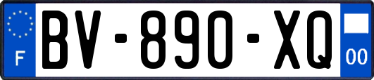 BV-890-XQ