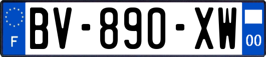 BV-890-XW