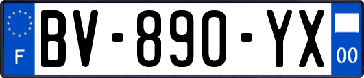 BV-890-YX