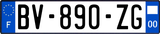 BV-890-ZG