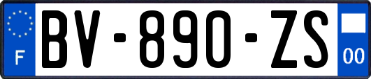 BV-890-ZS