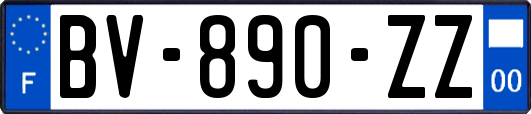 BV-890-ZZ