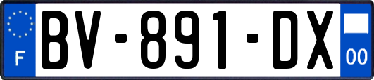 BV-891-DX