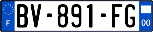 BV-891-FG