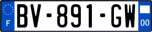 BV-891-GW