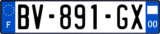 BV-891-GX