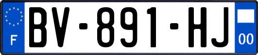 BV-891-HJ