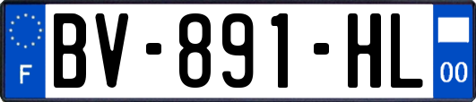 BV-891-HL