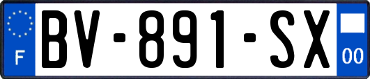 BV-891-SX