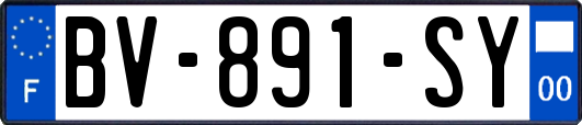 BV-891-SY