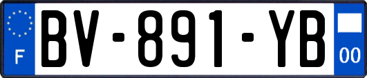 BV-891-YB