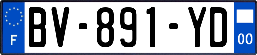 BV-891-YD