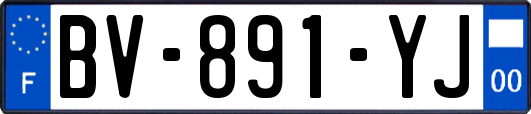 BV-891-YJ
