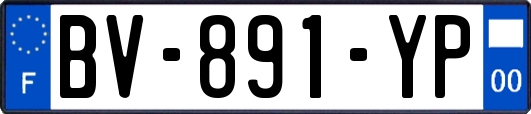 BV-891-YP