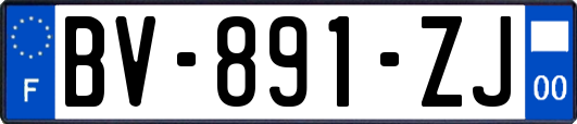 BV-891-ZJ