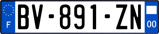 BV-891-ZN