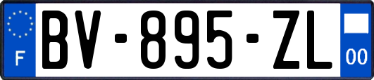 BV-895-ZL