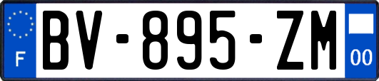 BV-895-ZM