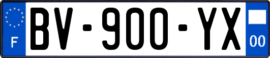 BV-900-YX