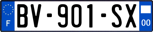 BV-901-SX