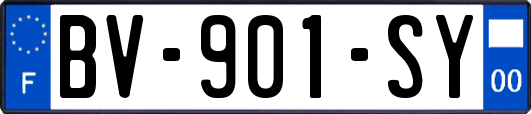 BV-901-SY