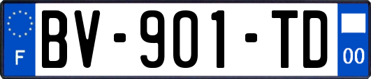 BV-901-TD