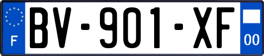 BV-901-XF