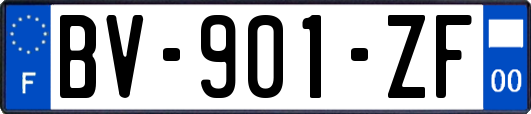 BV-901-ZF