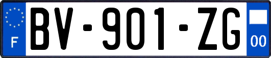 BV-901-ZG