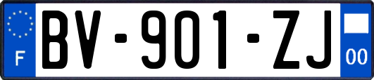 BV-901-ZJ