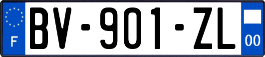 BV-901-ZL