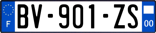 BV-901-ZS