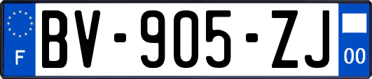 BV-905-ZJ