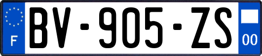 BV-905-ZS