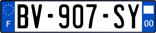 BV-907-SY